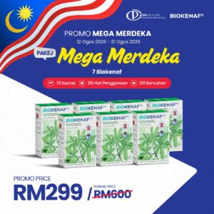 PAKEJ PROMO MERDEKA (7 KOTAK)